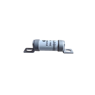 전기 도크 자동차 부품 63A SINOTRUK HOVO EV325-4GL 교체/수리용 피지 보호기
